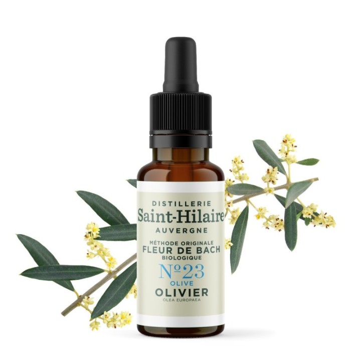 Fleurs de Bach BIO "Méthode original", N° 23, Olivier, Olive (Olea europaea) - 20ml - Saint-Hilaire