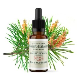Bachblüten BIO "Original Methode", Nr. 24, Kiefer, Pine (Pinus sylvestris) - 20ml - Saint-Hilaire