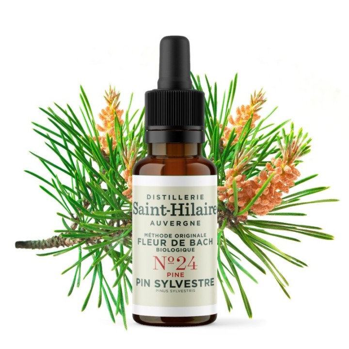 Bachblüten BIO "Original Methode", Nr. 24, Kiefer, Pine (Pinus sylvestris) - 20ml - Saint-Hilaire