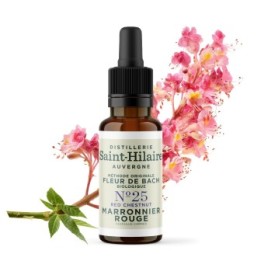 Fleurs de Bach BIO "Méthode original", N° 25, Marronnier Rouge, Red Chestnut (Aesculus carnea) - 20ml - Saint-Hilaire