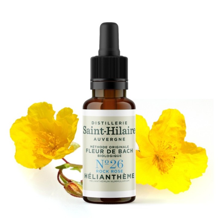 Fleurs de Bach BIO "Méthode original", N° 26, Hélianthème, Rock Rose (Helianthemum nummularium) - 20ml - Saint-Hilaire