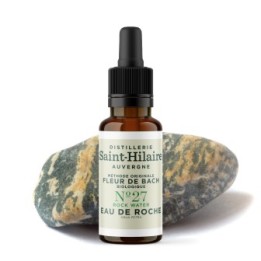 Bachblüten BIO "Original Methode", Nr. 27, Quellwasser, Rock Water - 20ml - Saint-Hilaire