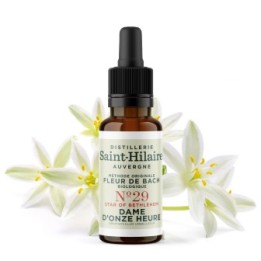 Fleurs de Bach BIO "Méthode original", N° 29, Dame d'Onze Heure, Star of Bethlehem (Ornithogalum umbellatum) - 20ml - Saint-Hila