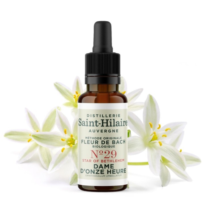 Fleurs de Bach BIO "Méthode original", N° 29, Dame d'Onze Heure, Star of Bethlehem (Ornithogalum umbellatum) - 20ml - Saint-Hila