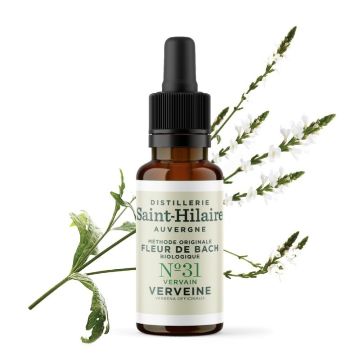 Bachblüten BIO "Original Methode", Nr. 31, Eisenkraut, Vervain (Verbena officinalis) - 20ml - Saint-Hilaire
