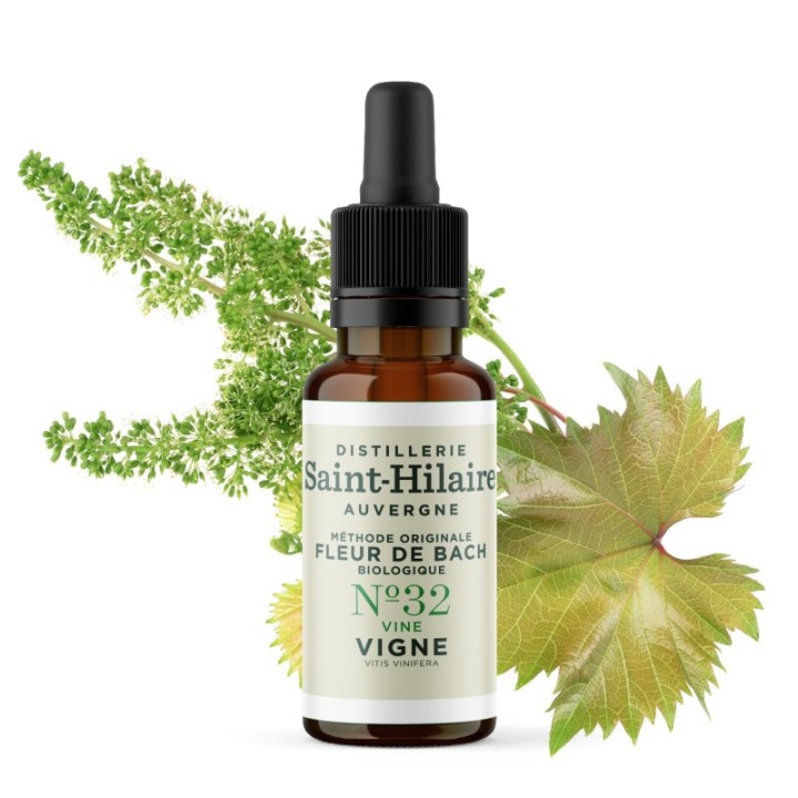 Bachblüten BIO "Original Methode", Nr. 32, Weinrebe, Vine (Vitis vinifera) - 20ml - Saint-Hilaire