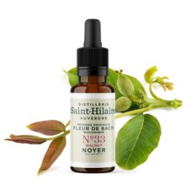Bachblüten BIO "Original Methode", Nr. 33, Walnuss, Walnut (Juglans regia) - 20ml - Saint-Hilaire