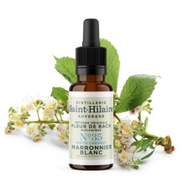 Fleurs de Bach BIO "Méthode original", N° 35, Marronnier Blanc, White Chestnut (Aesculus hippocastanum) - 20ml - Saint-Hilaire