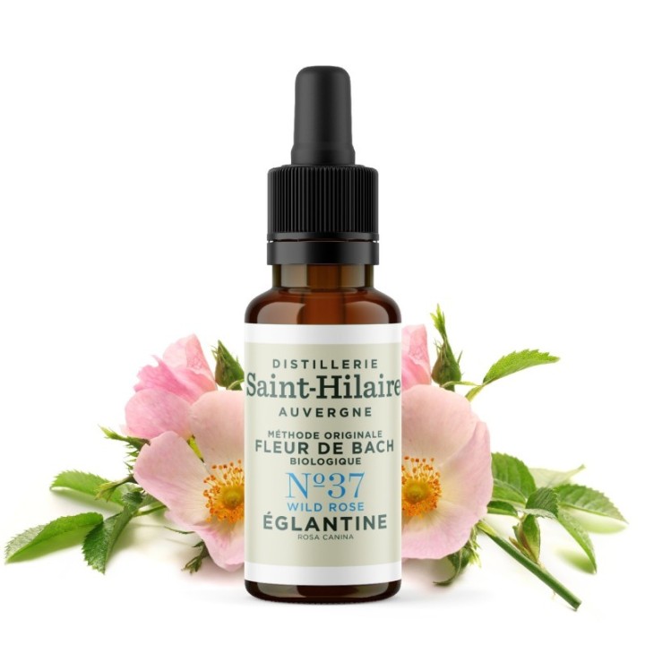 Bachblüten BIO "Original Methode", Nr. 37, Hundsrose, Wild Rose (Rosa canina) - 20ml - Saint-Hilaire