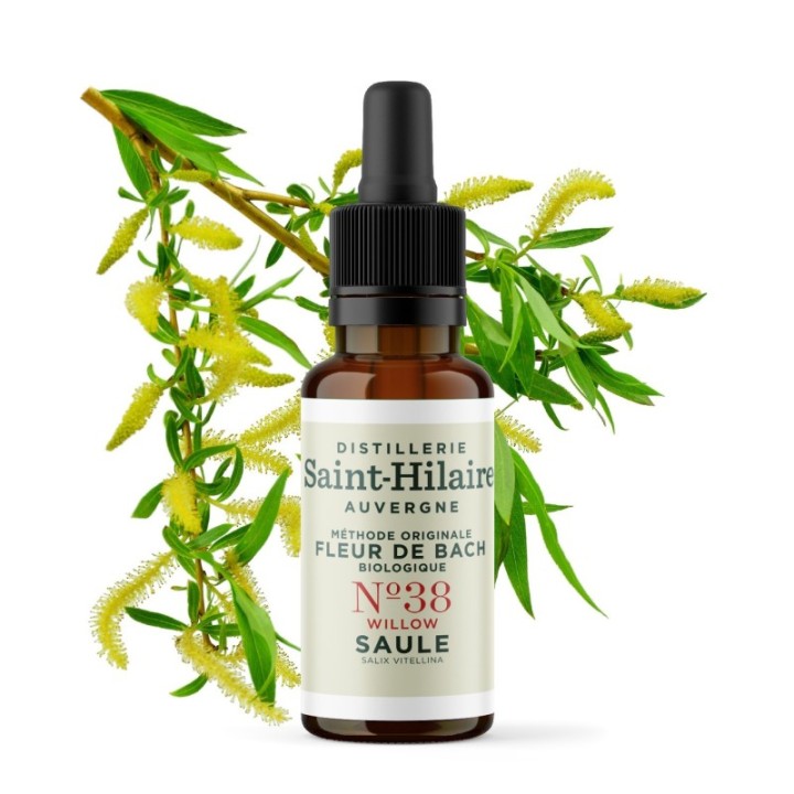 Bachblüten BIO "Original Methode", Nr. 38, Gelbe Weide, Willow (Salix vitellina) - 20ml - Saint-Hilaire
