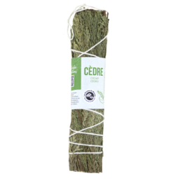 Tresse de Cèdre - Le plein d'énergie positive, 100% naturelle - env. 15cm - Les encens du monde