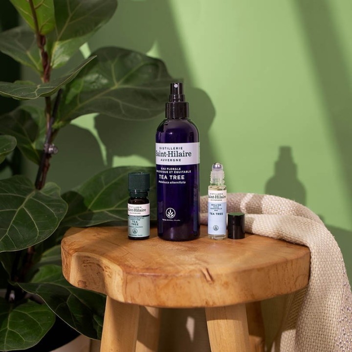 Roll-on all'olio essenziale Biologico di Tea Tree - 10ml - Saint-Hilaire