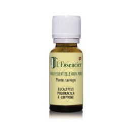 Ätherisches Öl Eucalyptus polibractea BIO aus Korsika, 100% rein - 5ml - L'essencier