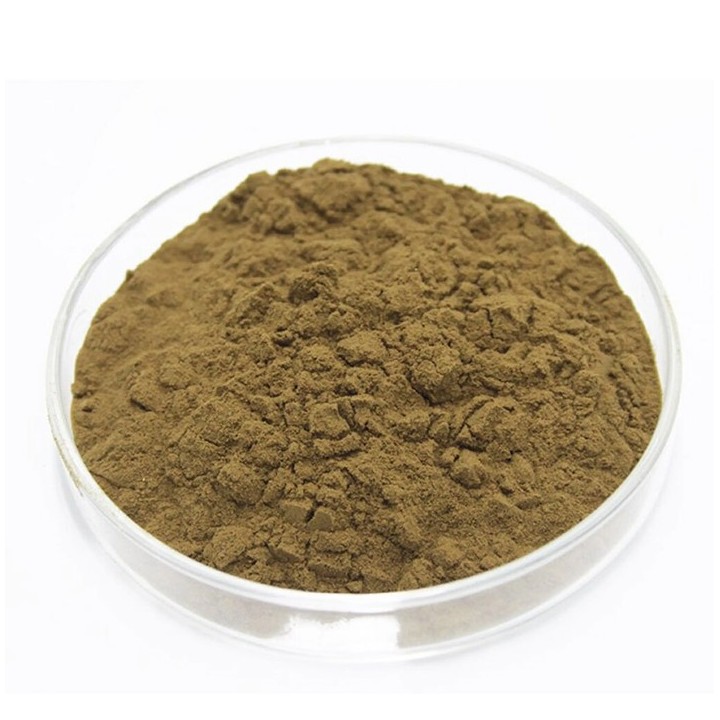 Reishi BIO – Extraktpulver aus Vitalpilz – 50g – NaturKraftWerke