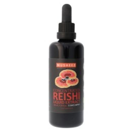 Reishi BIO – Hochkonzentrierter flüssiger Vitalpilz-Extrakt – 100ml – NaturKraftWerke