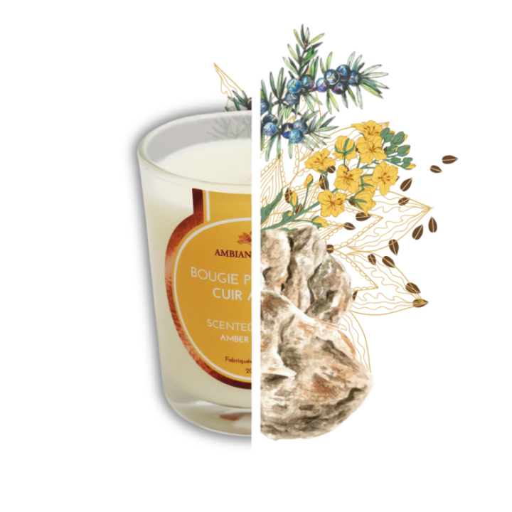 Candela vegetale all’olio di cade, profumo Cuoio ambrato - 400 g, circa 45 h - Ambiance Cade
