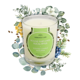Candela ad olio Cade, profumo di Eucalipto - 400g, circa 45h - Ambiance Cade