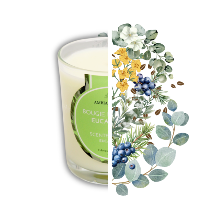 Bougie végétale à l'huile de cade, parfum Eucalyptus - 400g, env. 45h - Ambiance Cade