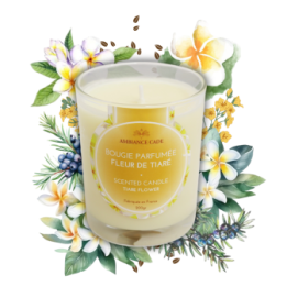 Cade Öl-Kerze, Duft Tiaré-Blüte - 400g, ca. 45h - Ambiance Cade