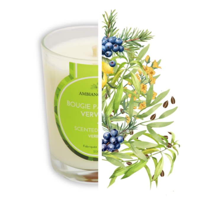 Candela ad olio Cade, fragranza Verbena - 400g, circa 45h - Ambiance Cade