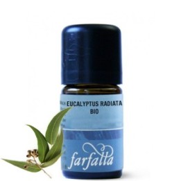 Huile essentielle (Ethérée) - Eucalyptus Radiata BIO - 100% naturelle et pure -  5ml - Farfalla