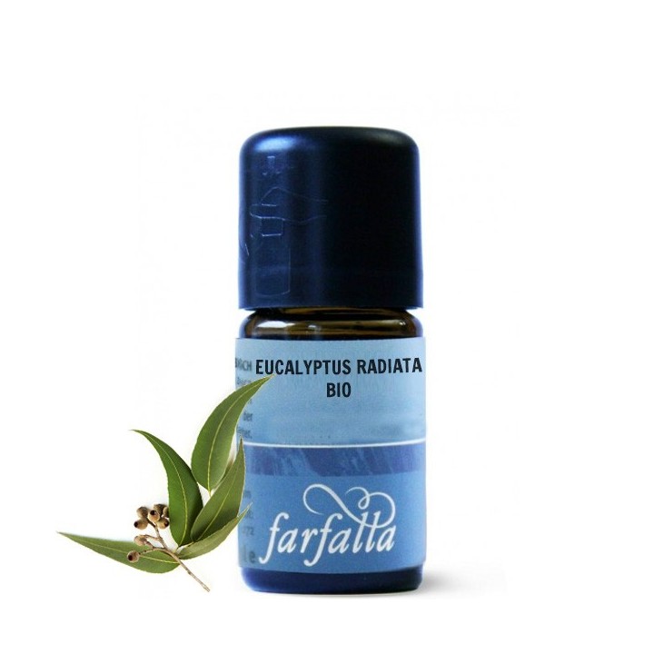 Olio Essenziale Bio - Eucalipto radiata Bio- 5ml  - Farfalla