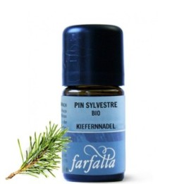 Ätherische Öle - Kiefernnadel BIO Wildsammlung - 100 % natürlich - 5ml - Farfalla