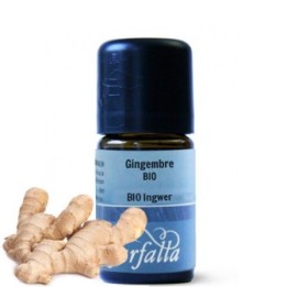 Ätherische Öle - Ingwer BIO - 100 % natürlich - 5ml - Farfalla