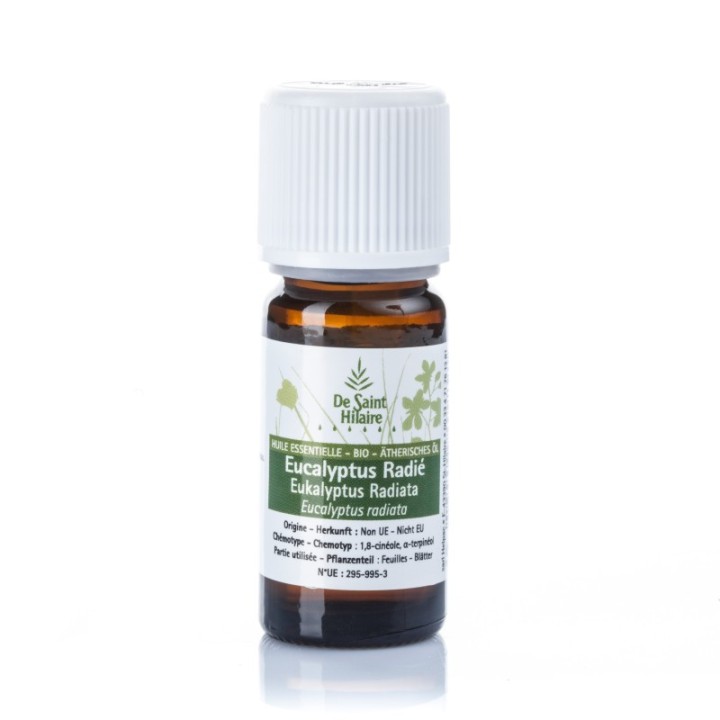 Eukalyptus radiata ätherisches Öl - 10ml - De Saint Hilaire