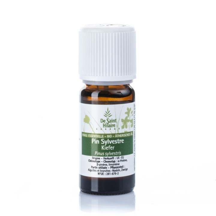 Kiefer ätherisches Öl - 10ml - De Saint Hilaire