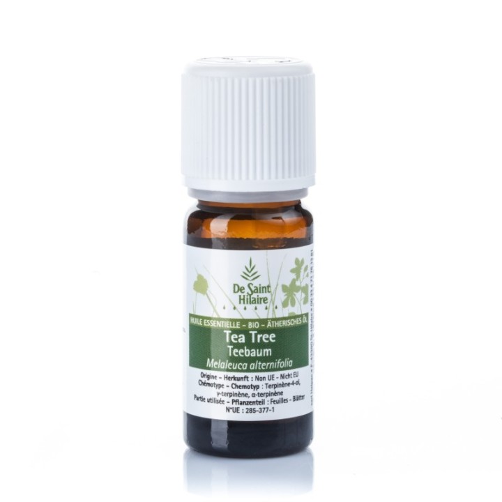 Teebaum ätherisches Öl - 10ml - De Saint Hilaire