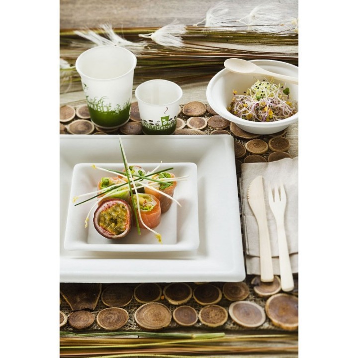 Assiettes/Plats carrés compostables à usage uniques en canne à sucre, 26 x 26cm - 10pces - Be Pulp