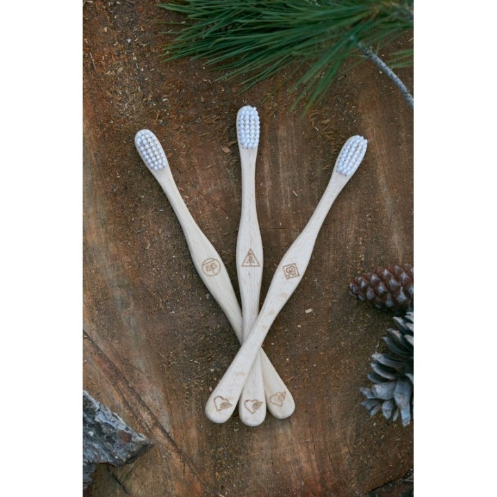 Spazzolino da denti in legno di faggio svizzero, "Conifera" - 1 pezzo - Liebwerk