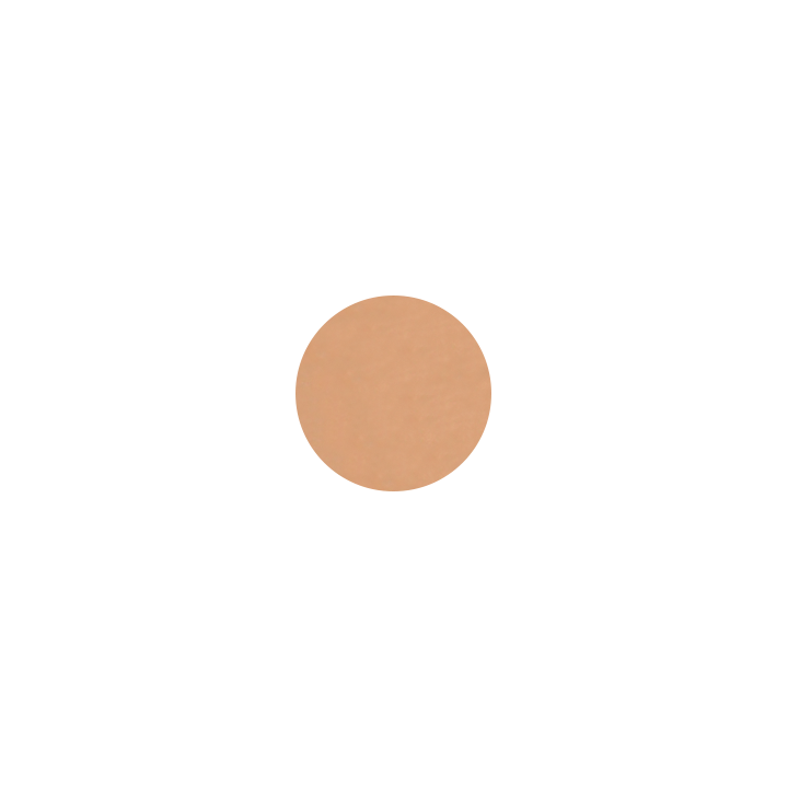 Correcteur en stick Bio - N°494, Brun foncé - 3,5g - Zao Make-up