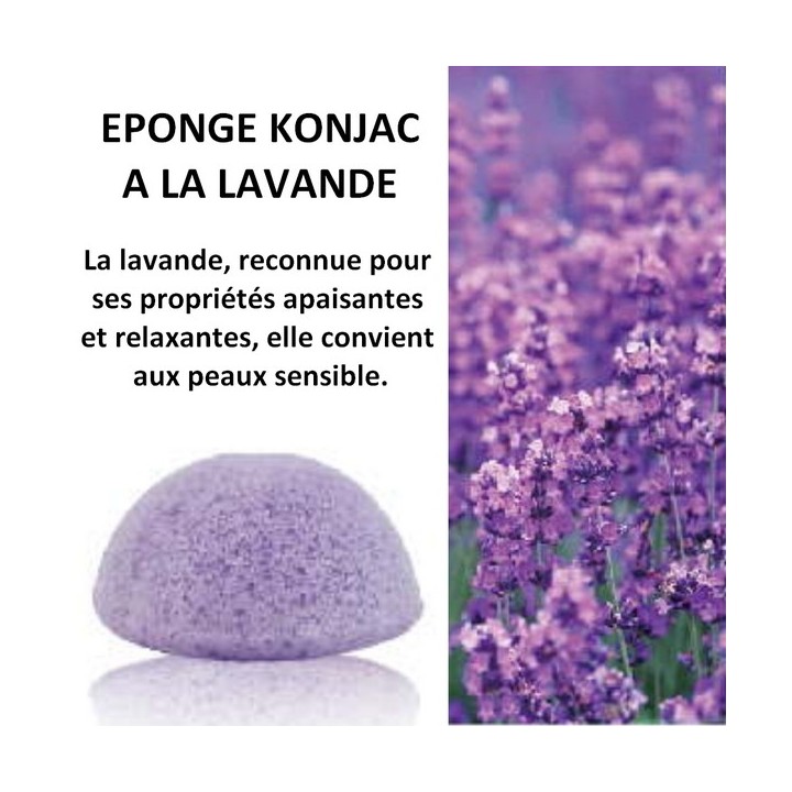 Éponge 100% naturelle en Konjac, à la lavande - Sun & Sia