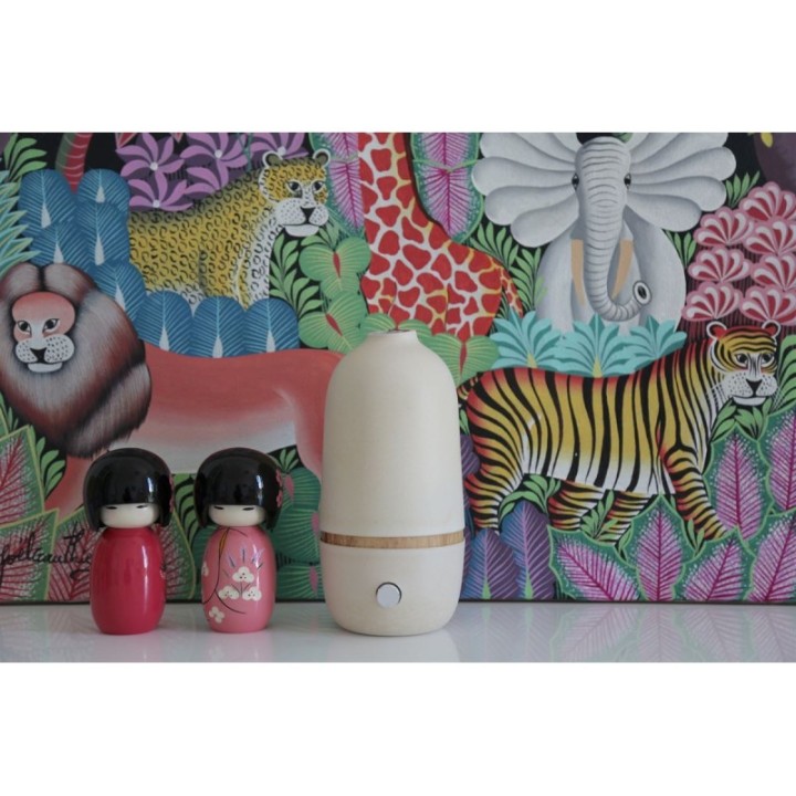 Diffuseur d'huiles essentielles par nébulisation, BO Stone by EKOBO - Innobiz