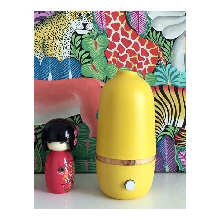 Diffuseur d'huiles essentielles par nébulisation, BO Lemon by Ekobo - Innobiz
