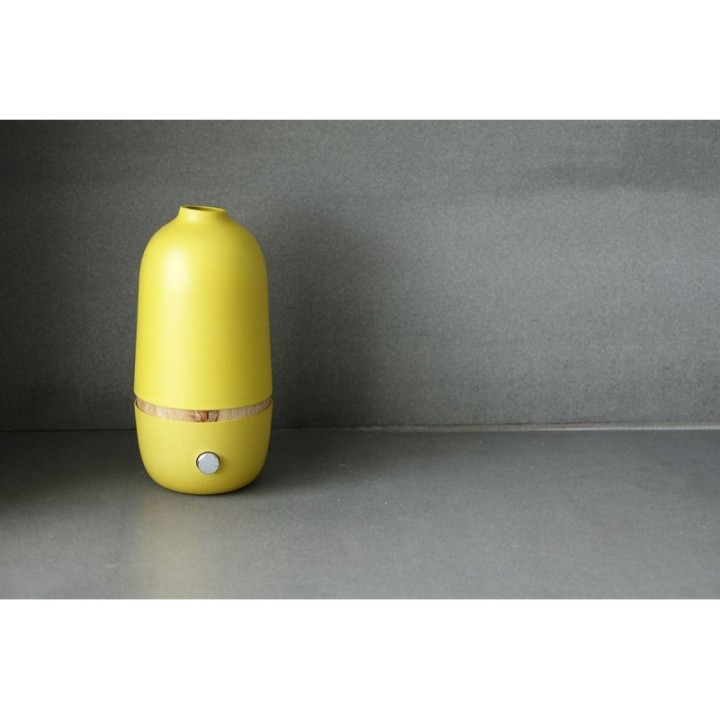 Diffuseur d'huiles essentielles par nébulisation, BO Lemon by Ekobo - Innobiz