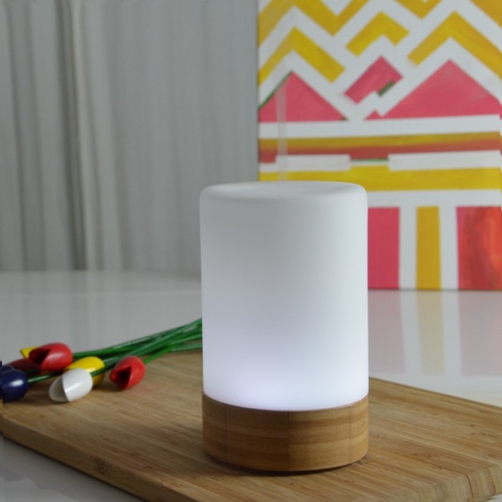 Diffusore di oli essenziali, Ultrasuoni - FELISIA - ZEN'Arôme