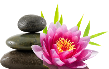 Huiles Essentielles Bio et naturelles