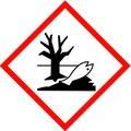 GHS09 – Environnement