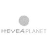 Hevea