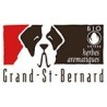 Grand St-Bernard