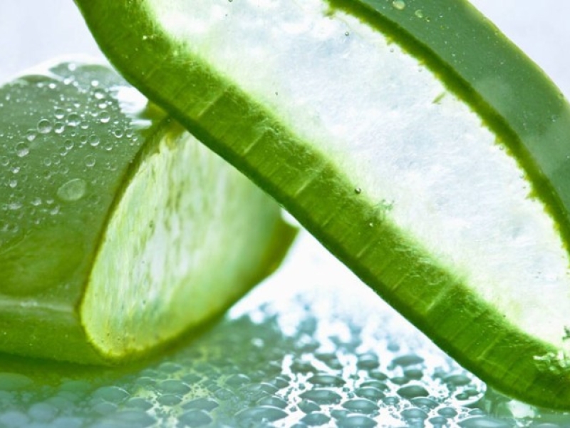 Les ingrédients BIO: Aloe vera, Aloès [Aloe Barbadensis]