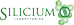 Silicium Laboratories (Loïc Le Ribault)